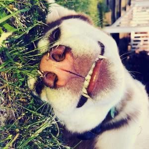 Meet your Posher, Kristy